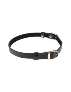 SEX AND MISCHIEF DOUBLE BUCKLE DAY COLLAR 2