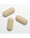 PENIS PLUS ERECT 90 TABS