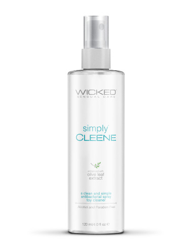 ssasaWICKED SIMPLY CLEENE TOYCLEANER 120ML