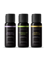 ssasaWICKED SENSUAL MASSAGE OIL VANILLA SUGARCANE 120ML