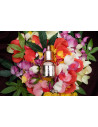 HIGH ON LOVE SENSUAL STIMULATING OIL 30ML