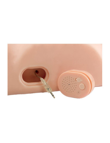 PDX MALE DIRTY TALK INTERACTIVE FUCK HIM SILLY LIGHT