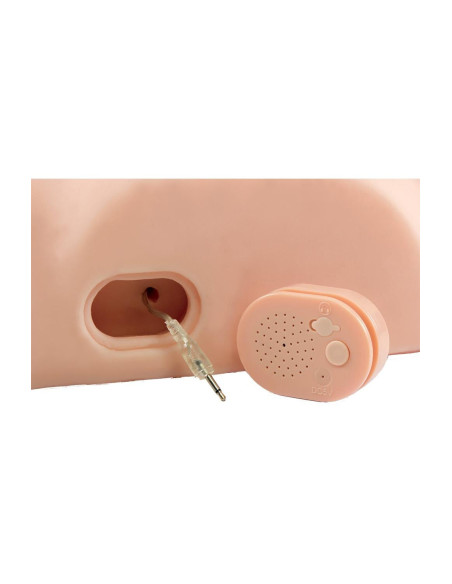 PDX MALE DIRTY TALK INTERACTIVE FUCK HIM SILLY LIGHT