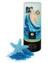 BATH SALT ORIENTAL CRYSTALS BRISE DOCEAN 500 GR