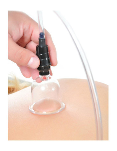 FETISH FANTASY SERIES BEGINNERS 6PC. CUPPING SET CLEAR