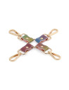 SPECTRA BONDAGE HOGTIE RAINBOW
