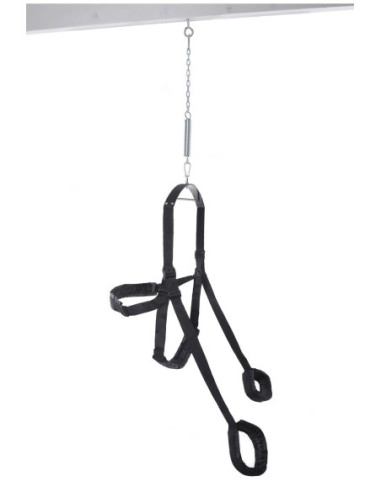 FETISH FANTASY SERIES FANTASY SWING