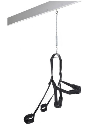 FETISH FANTASY SERIES FANTASY SWING