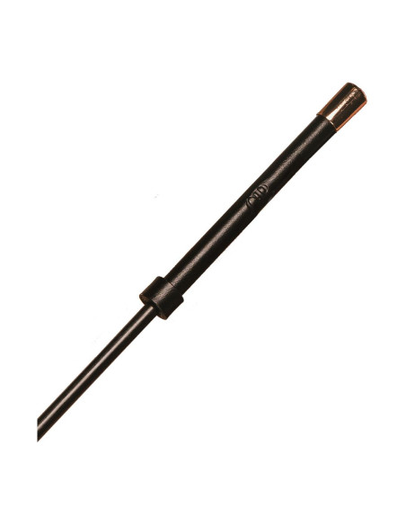 GUILTY PLEASURE RADIANT REIGN CROP