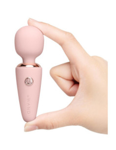 LE WAND MINI MICRO WAND RG